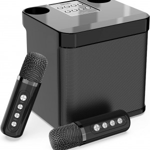 Dual Microphone Karaoke Machine for Adults and Kids Portable Bluetooth PA Speaker System with 2 Wireless Microphones for Home