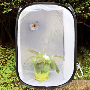 Foldable Insect Butterfly Observation Cage Insect Net Pet Insect Cage Insect Cage Grasshopper Habitat Breeding Incubator Box HOT