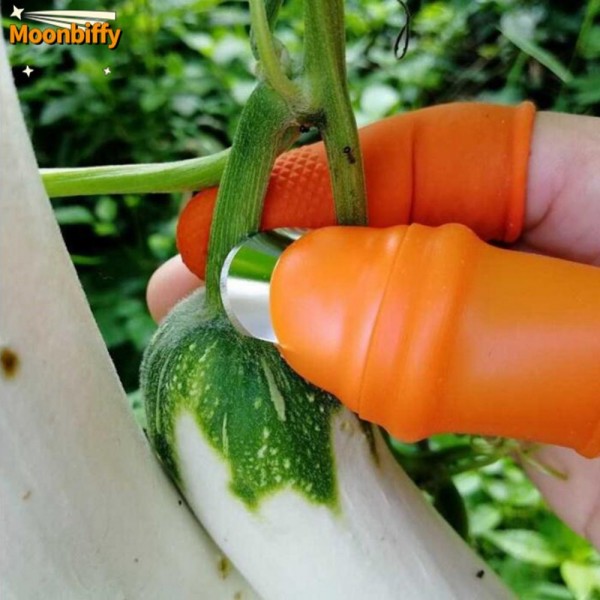 Farm Vegetable Fruit Picker Pickle Pepper Pickle Tip Picker Iron Nail Pick Grape Picker For Garden Orchard And Vegetable Patch