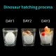 5Pcs/Set Magic Novelty Toys Water Growing Dinosaur Eggs Hatching In Water Easter Eggs Children Birthday Gift Kids Funny Toy