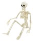 Halloween Movable Skeleton Fake Human Skull Bones Halloween Party Home Bar Decorations Haunted House Horror Props Ornament Toys